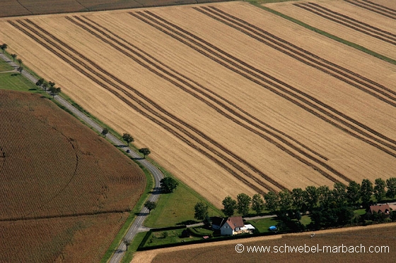 Plaine d'Alsace