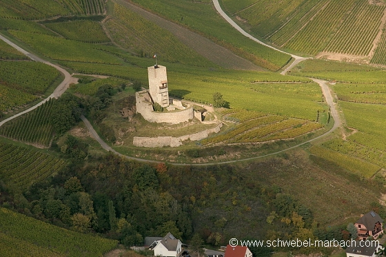 Château de Katzenthal - Vignoble alsacien