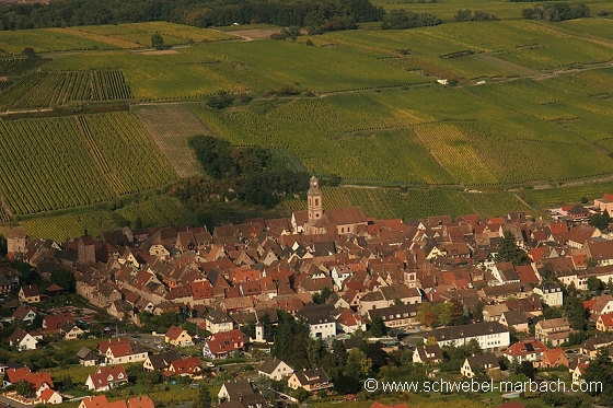Riquewihr - Vignoble alsacien