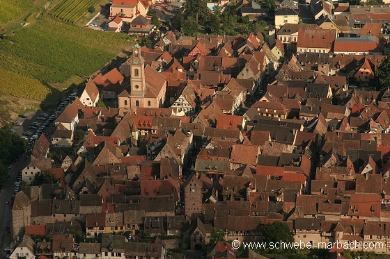 Riquewihr - Vignoble alsacien