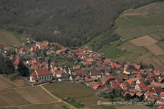 Orschwiller - Vignoble alsacien