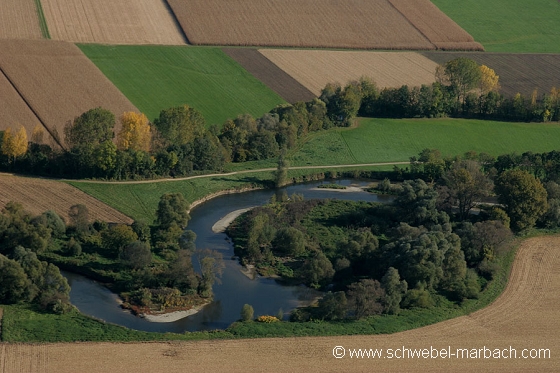 Ried de l'Ill - Plaine d'Alsace