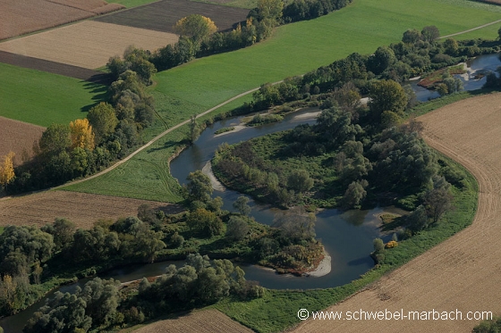 Ried de l'Ill - Plaine d'Alsace