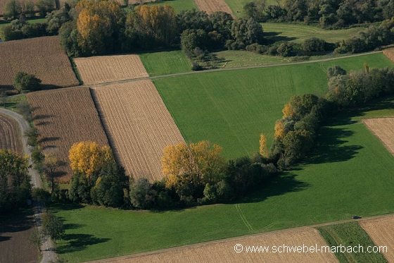 Ried de l'Ill - Plaine d'Alsace