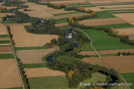 Ried de l'Ill - Plaine d'Alsace