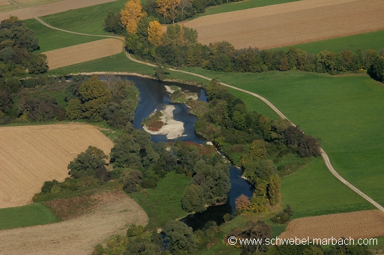 Ried de l'Ill - Plaine d'Alsace
