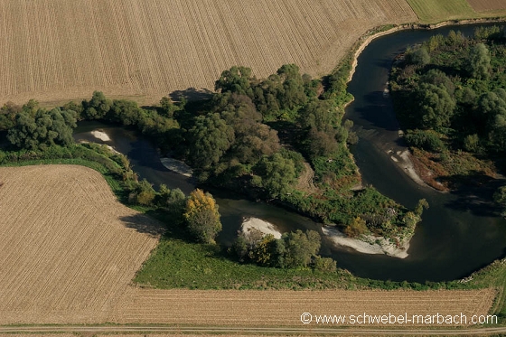 Ried de l'Ill - Plaine d'Alsace