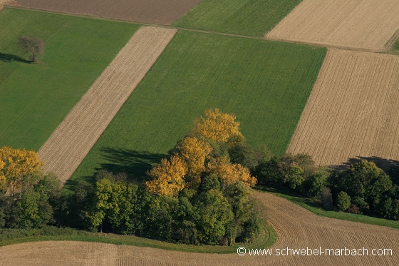 Ried de l'Ill - Plaine d'Alsace