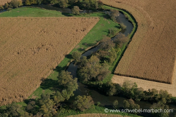 Ried de l'Ill - Plaine d'Alsace
