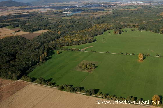 Ried de l'Ill - Plaine d'Alsace