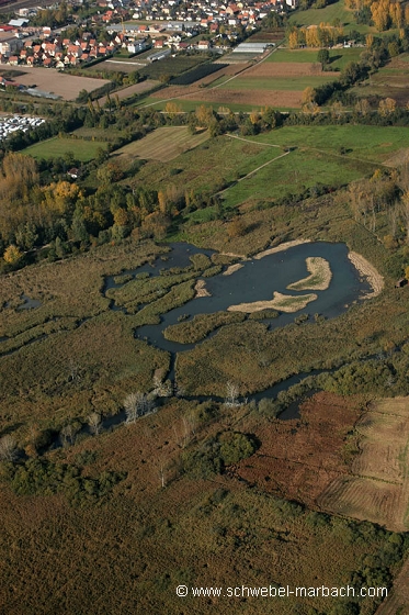 Zone humide des Rohrmatten à Sélestat - Ried de l'Ill