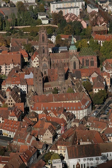 Sélestat - Plaine d'Alsace