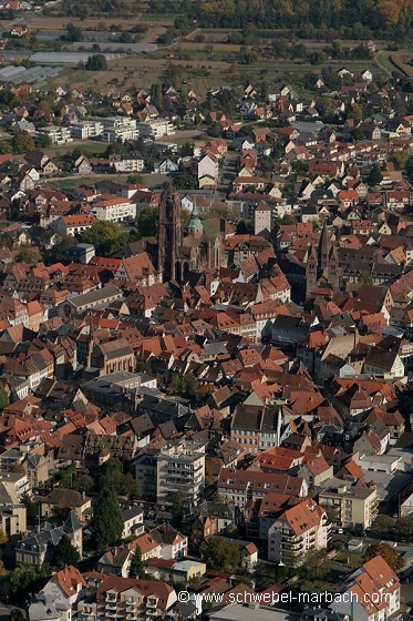 Sélestat - Plaine d'Alsace