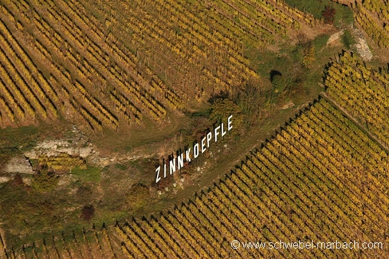 Zinnkoepflé - Vignoble alsacien