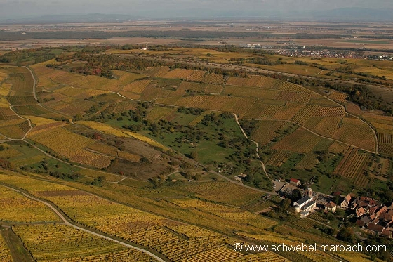 Westhalten - Vignoble alsacien