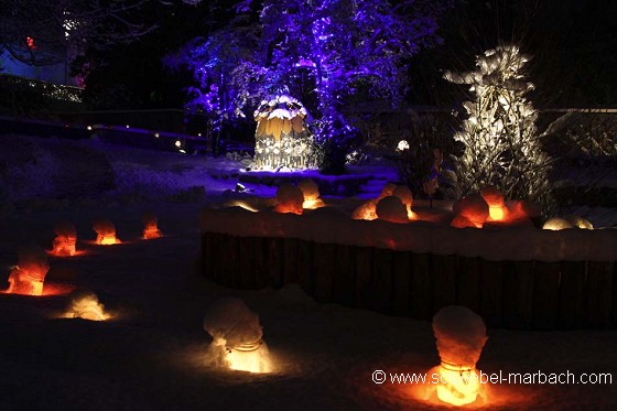 Décembre 2010 - Noël au jardin - Parc de Wesserling