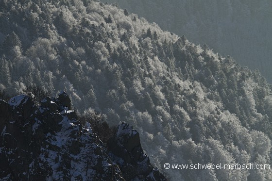 Janvier 2011 - Massif Vosgien